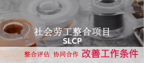 SLCP验厂咨询全解析 苏州绿加环保的技术支持与高清图像应用